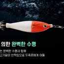 비다컴퍼니 이미지