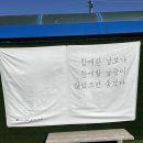 아리댕댕애견카페 이미지