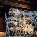 테라피하우스펜션 이미지