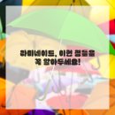 판치과기공소 | 내 얼굴의 메인 디쉬, 라미네이트 후기! 대전치과에서 인생 변신을 꿈꿨어요