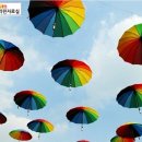 사과같은내얼굴