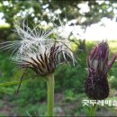 밤산농원 이미지