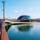 세종호수공원 야간 산책로 이미지