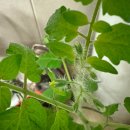 365소사벌종합의원 이미지