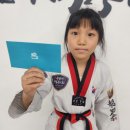 용인대마루한태권도(둔산점) 이미지