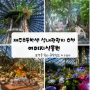 제주 중문에 뜬 포켓몬 잡으러 출동! 포켓몬 원더 아일랜드 인 제주 여미지식물원 무료입장