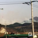 이강인농장 이미지