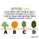 작은나무 이미지