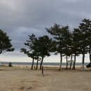 쉼송지호 이미지