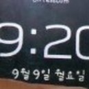 포레스트반디