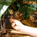 케이메디텍 이미지