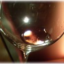 [대전 둔산동 파스타 전문점] 이탈리안 레스토랑 비노비노 - 10월 14일 와인데이 무료 와인 쿠폰 이미지