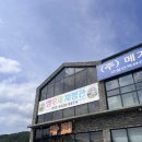 리프패럿 - 연수구 하모니로138번길 11 | 아이와 함께 가기 좋은 곳, 용인 동물카페 ‘리프패럿’ 내돈내산 후기