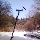 산이네 민박 이미지