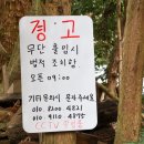 제주도 안돌오름 비밀의숲 스냅 사진 포토스팟 위치 소요시간 입장료 주차