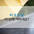 감성이 촉촉이 젖어드는, 비오는날 듣기 좋은 노래 BEST 6 이미지