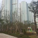 동서울공인중개사사무소 이미지