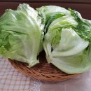 (주)아주유통