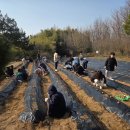 신암초교 이미지