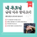 안양 일소리 이미지