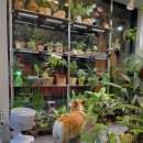 그린꽃식물원 이미지