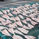 코로나 극복 힐링페스타-CHORUS | 장흥군 2021힐링페스타 콘서트공연에서‥ 팬플룻연주/조우상/팬타곤