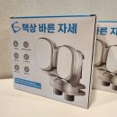 아이의 바른 자세를 위한 오누즈 자세지킴이 사용 후기