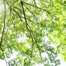 Train For Life 이미지