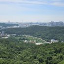 감나무골 이미지