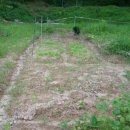 초록농장2 이미지