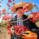 산음영농 이미지