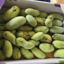 구월농장 이미지