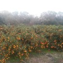 빈이네농장 이미지