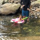 자영목장 이미지