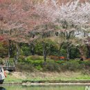 성내5교 이미지