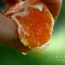 학창농장 이미지