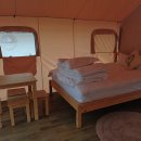 편백향기 이미지