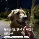 호두가 - 수성구 달구벌대로 3134 | 우리집 강아지 호두가 반한 펫바이트 진드기퇴치제 후기