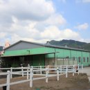 세계승마클럽 이미지