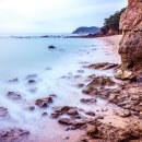 파도리 해수욕장 이미지