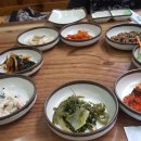 서해안해물맛집 이미지