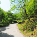 김삿갓면-26 이미지