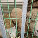 송산목장 이미지