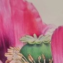 닻별아트 이미지