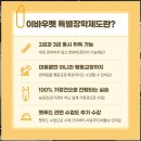 세종클래스애견미용학원
