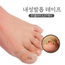 내성집