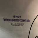 송학약초웰빙센터 | 강원도 정선 하이원 웰니스 네이처힐링존 숲속걷기 별을담다+족욕체험 후기