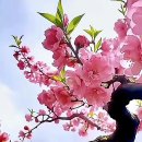 행복한하루