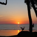 서해낙조 고벵이 펜션 | 대천 오션뷰펜션 추천 보령 라바풀빌라 201호 솔직 후기 아이와 여행