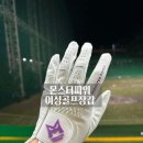 그립감 좋은 여성 골프장갑 추천 몬스터파워 내돈내산 후기